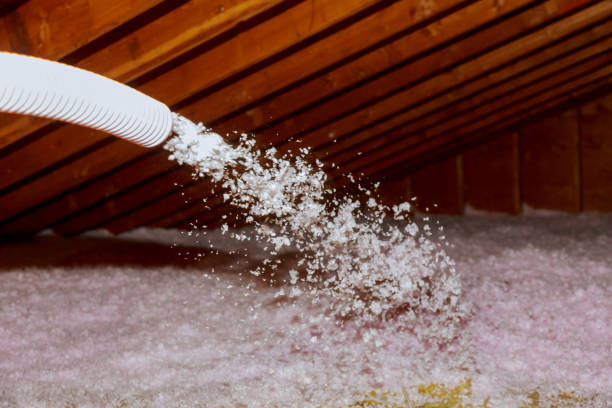 Best Garage Insulation Installation  in Helotes, TX