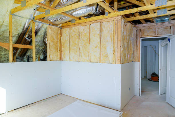 Best Spray Foam Insulation  in Helotes, TX