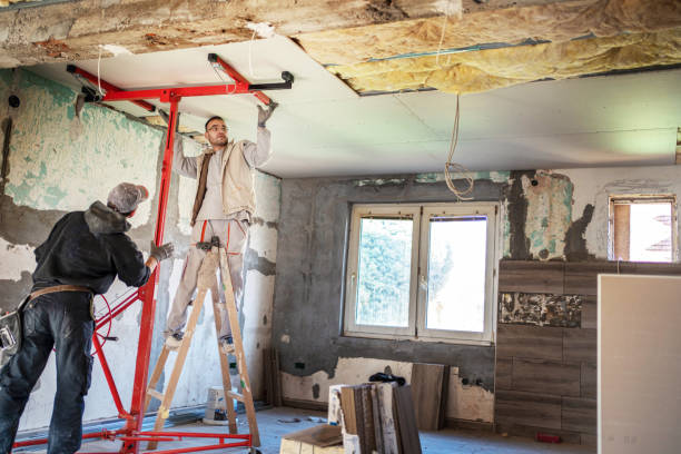 Best Insulation Removal  in Helotes, TX