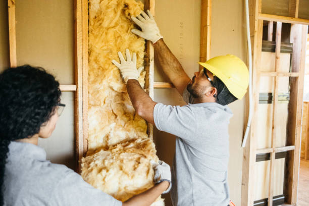 Best Attic Insulation Installation  in Helotes, TX
