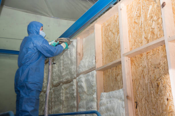 Best Local Insulation Services  in Helotes, TX