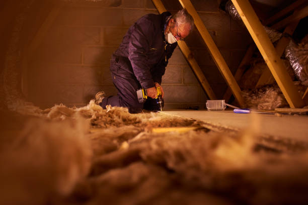 Best Insulation Replacement Services  in Helotes, TX